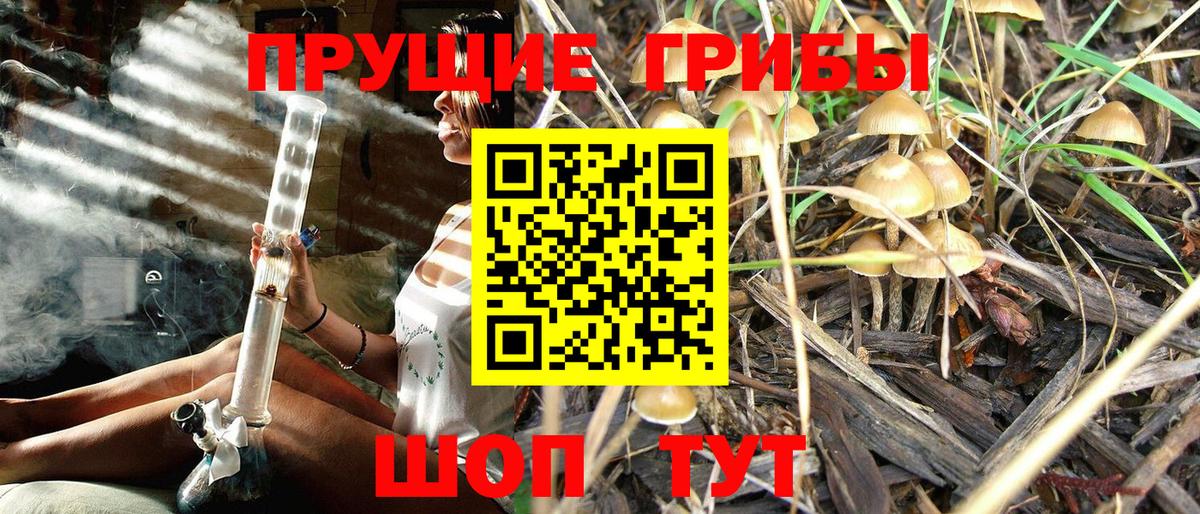 Галлюциногенные грибы Psilocybine cubensis  Вход с VPN  Евпатория 